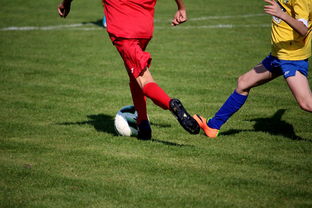 米兰体育官网入口-世界冬奥会冰壶中国队勇夺银牌，冬奥会冰壶中国队战绩