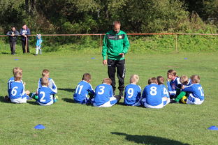 米兰体育app下载安装-中小学体育教师教学技能提升,中小学体育教师综合素质提升策略